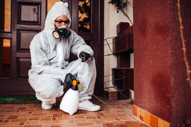 Reliable Ant Control contractor in Ahuimanu, HI by Nex Pest Control