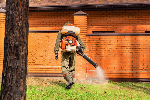 Trusted Termite Control service in Ahuimanu, HI - Nex Pest Control